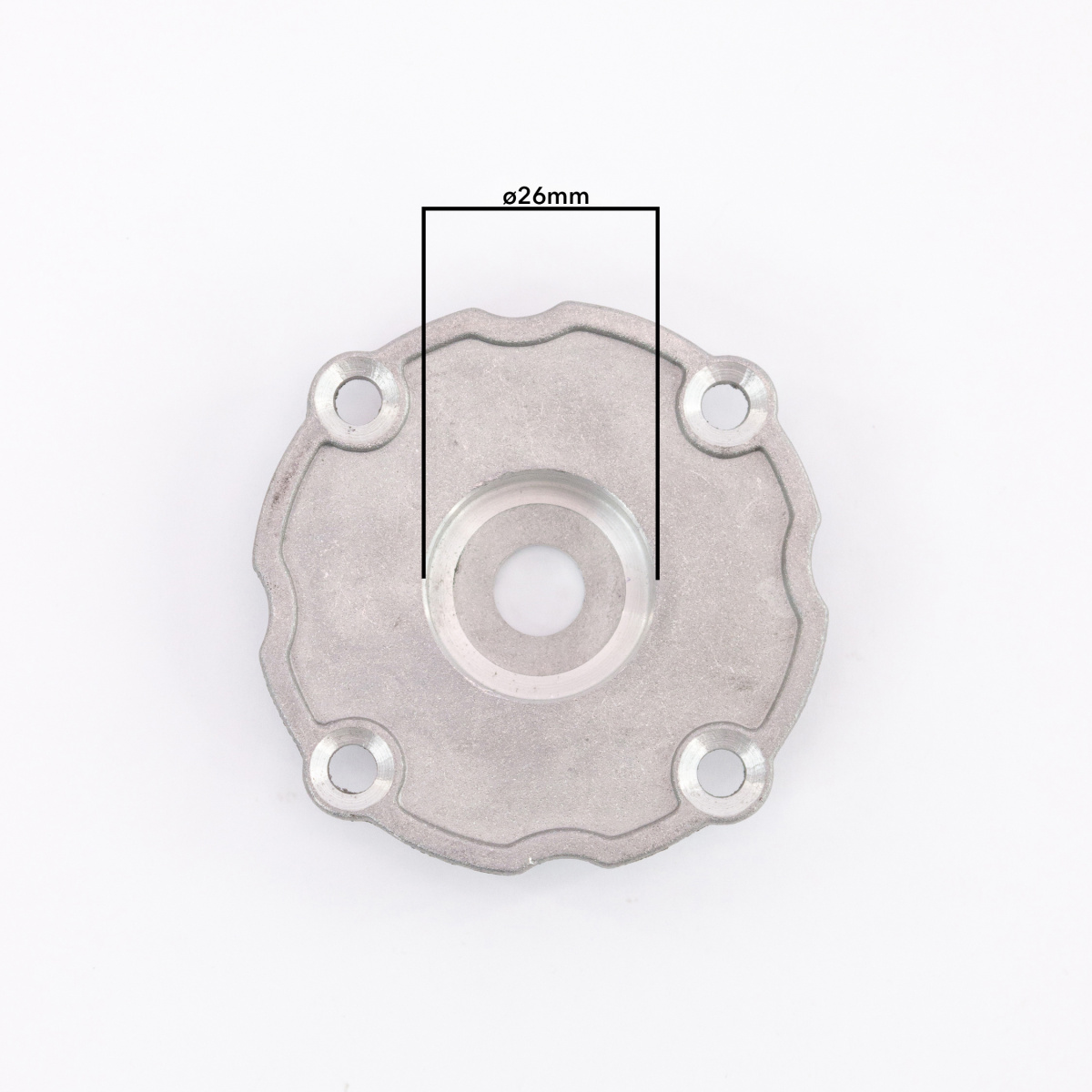 IMG_8226__ копия